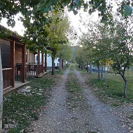 Camping Aín *